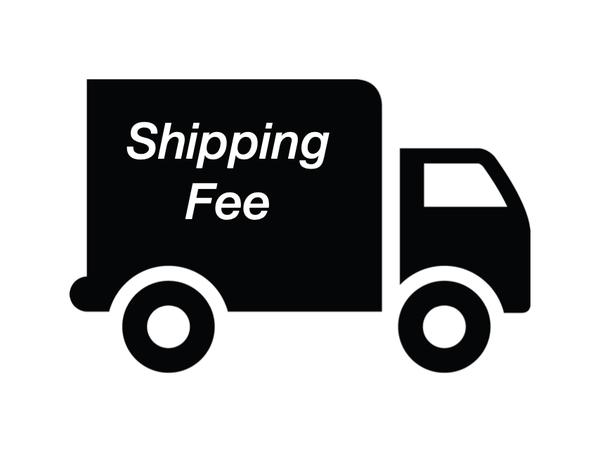 Shipping fee-Charger